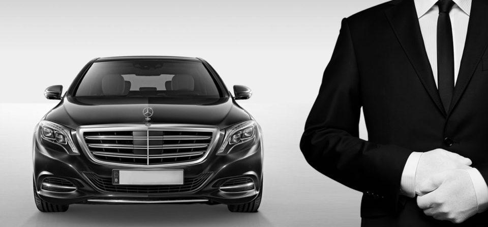 سائق في بورتوفينو